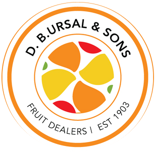 D.B Ursal & Sons